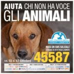 LEIDAA, dal 10 al 17 ottobre SMS solidale al 45587 per aiutare gli animali in difficoltà